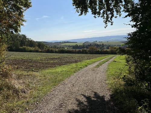 Märchenwald Einbeck und Wasserturm