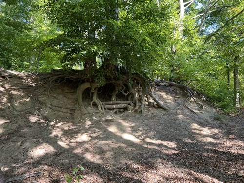 Märchenwald Einbeck und Wasserturm