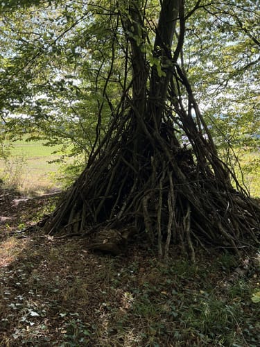 Märchenwald Einbeck und Wasserturm