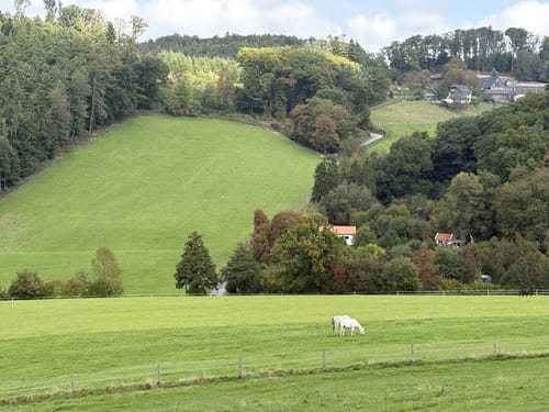 Elfringhauser Schweiz