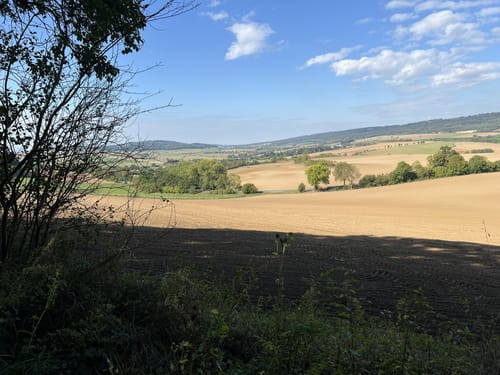 Märchenwald Einbeck und Wasserturm