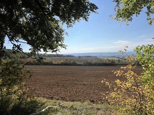Märchenwald Einbeck und Wasserturm