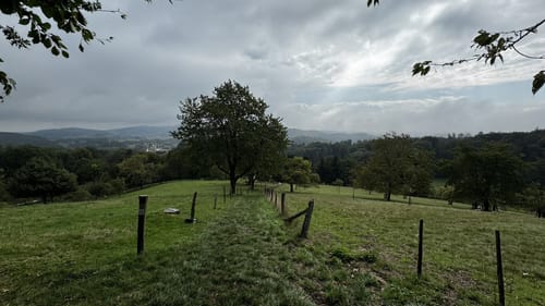 Lautertal-Staffel: L1 Felsenmeer-Rundweg