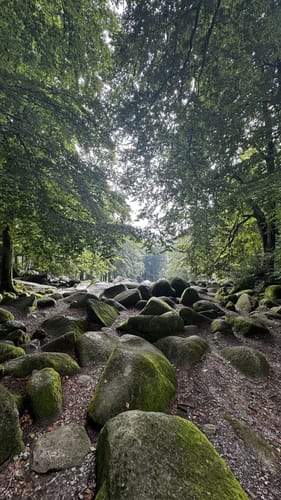 Lautertal-Staffel: L1 Felsenmeer-Rundweg