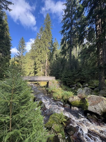 Wanderung im Schwarzwassertal