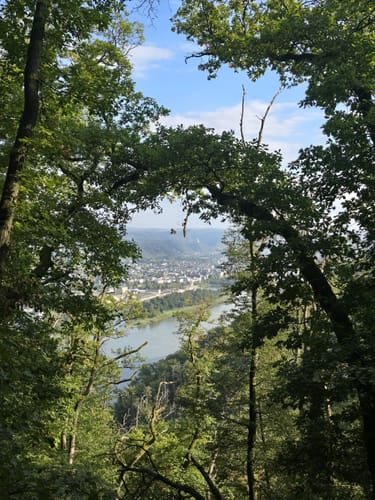 Vom Kühkopf zum Dummelberg und dem Rittersturz