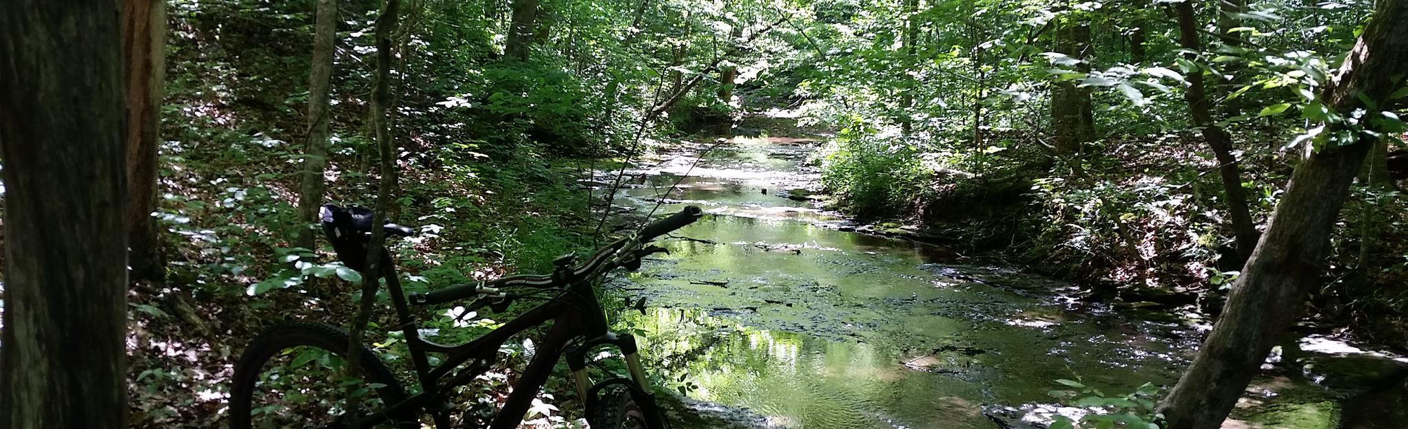 montgomery bell mountain bike trail