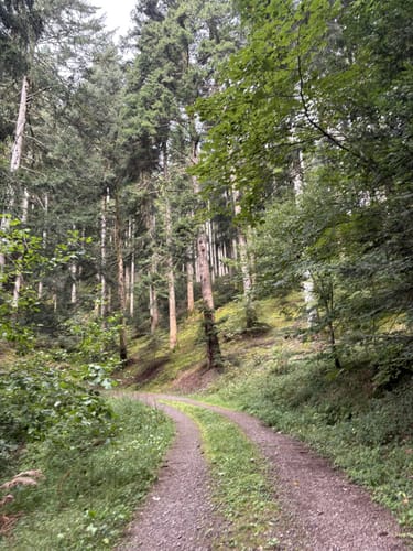 Panoramawanderung in Oberharmersbach