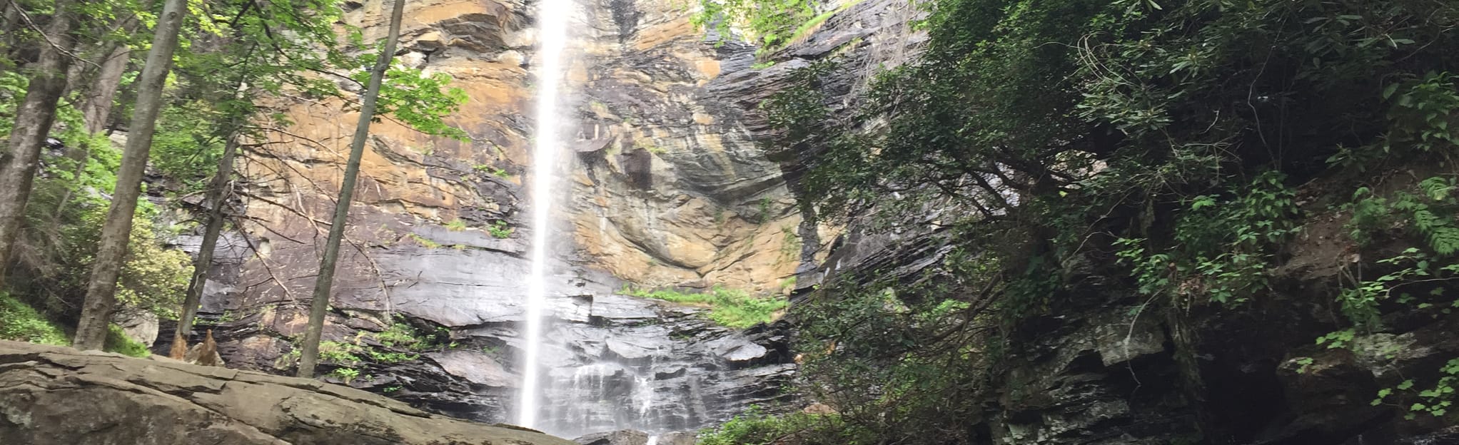 Rainbow Falls Trail South Carolina - EyJidWNrZXQiOiJhc3NldHMuYWxsdHJhaWxzLmNvbSIsImtleSI6InVwbG9hZHMvcGhvdG8vaW1hZ2UvMTEyMjk3ODAvMzg2YmU4YmI2NGE4NWJiOTJiYTk0NjQ3OWYyOTNkY2QuanBnIiwiZWRpdHMiOnsidG9Gb3JtYXQiOiJqcGVnIiwicmVzaXplIjp7IndpZHRoIjoyMDQ0LCJoZWlnaHQiOjYyNCwiZml0IjoiY292ZXIifSwicm90YXRlIjpudWxsLCJqcGVnIjp7InRyZWxsaXNRdWFudGlzYXRpb24iOnRydWUsIm92ZXJzaG9vdERlcmluZ2luZyI6dHJ1ZSwib3B0aW1pc2VTY2FucyI6dHJ1ZSwicXVhbnRpc2F0aW9uVGFibGUiOjN9fX0=