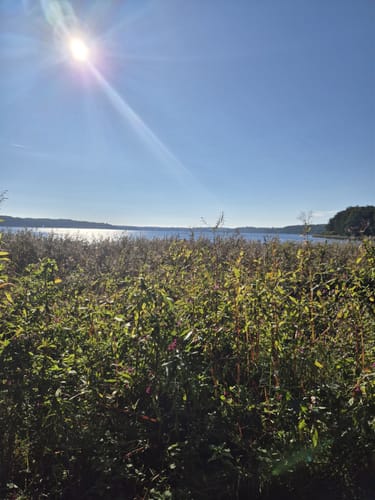 Rund um den Ratzeburger See