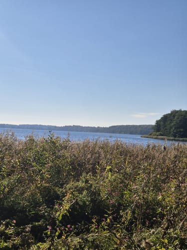 Rund um den Ratzeburger See