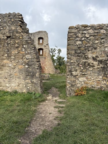 Von St. Georgen zur Schneeburg
