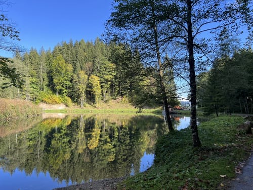 Vom Schliersee zum Tegernsee über die Gindelalm