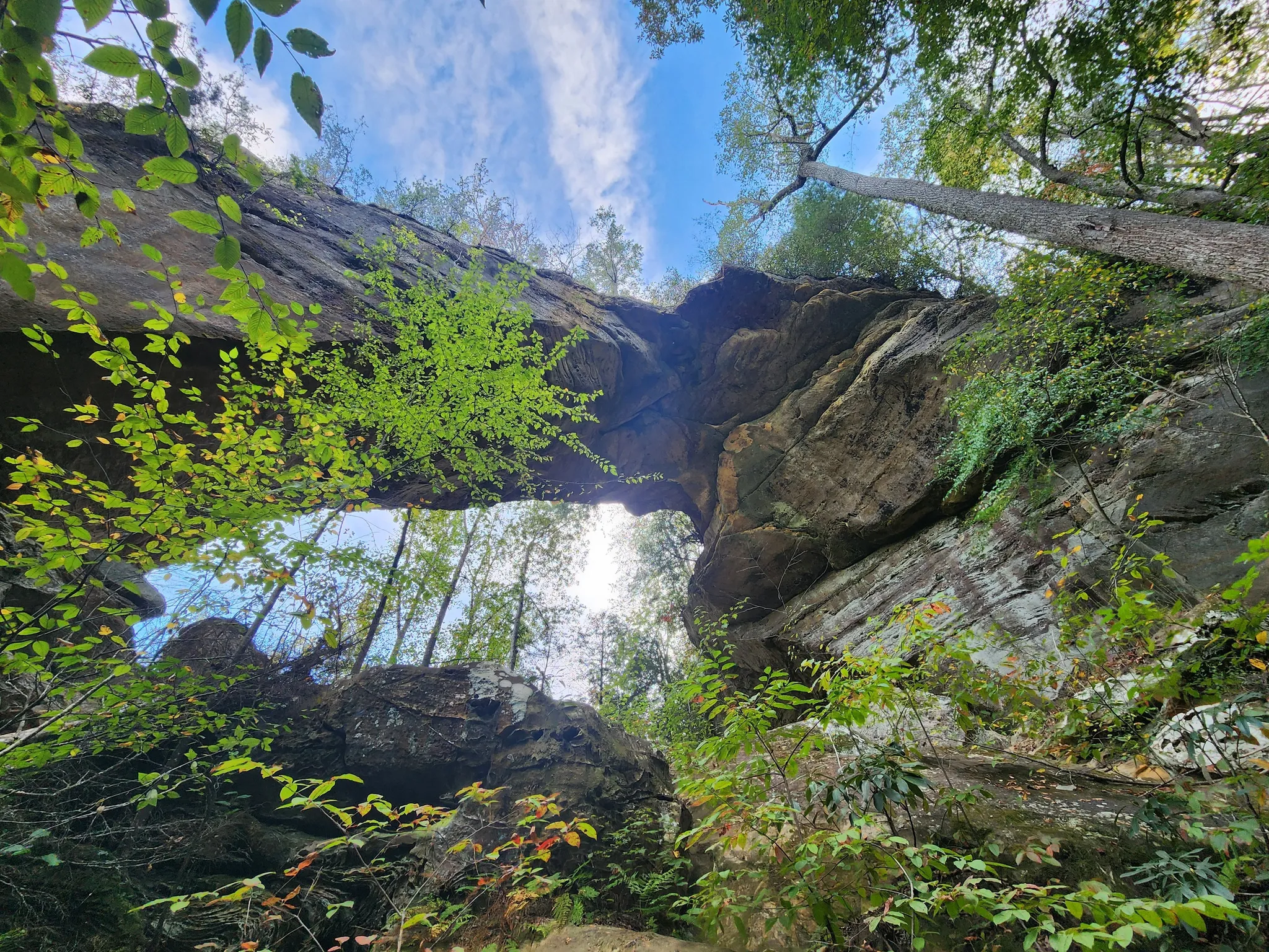 Gray's Arch