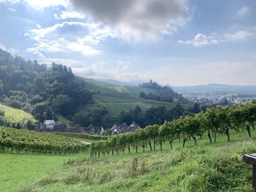 Weingut Schloß Ortenberg Rundweg