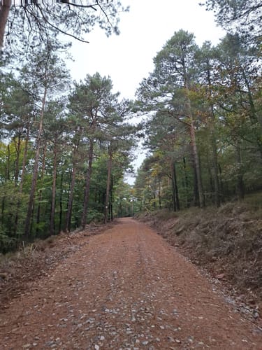 Lambrecht und Teufelsfels