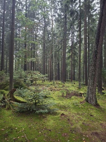 Lambrecht und Teufelsfels