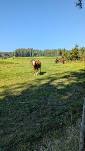 Zu den Schleierfällen