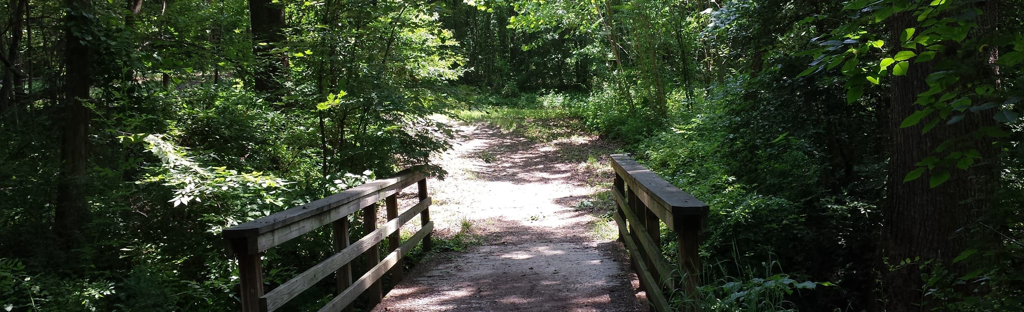 Patriot Park Virginia AllTrails