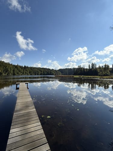 Hackensee und Dietramszeller Waldweiher ab Kleinhartpenning