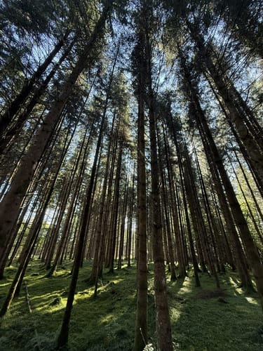 Hackensee und Dietramszeller Waldweiher ab Kleinhartpenning