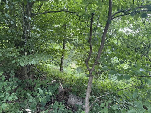 Madbachtalsperre - Scheuren