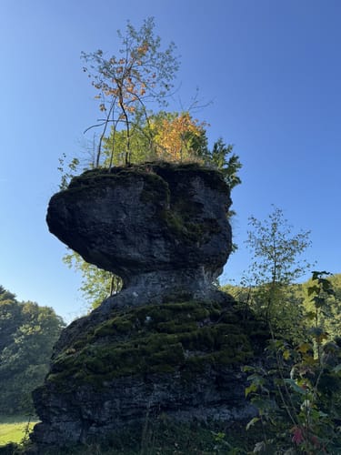 Trubachweg zur Ruine Bärnfels