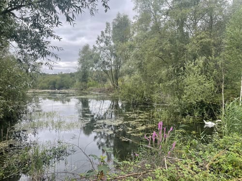 Pieterpad Etappe 2.10: Swalmen - Montfort