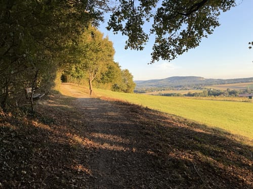 Heßkamp - Hiddentrup