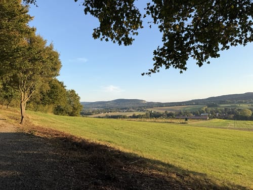 Heßkamp - Hiddentrup