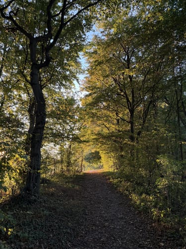 Heßkamp - Hiddentrup