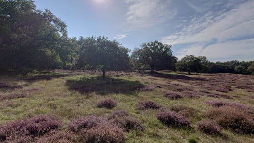 Emswanderung Meppen - Versen