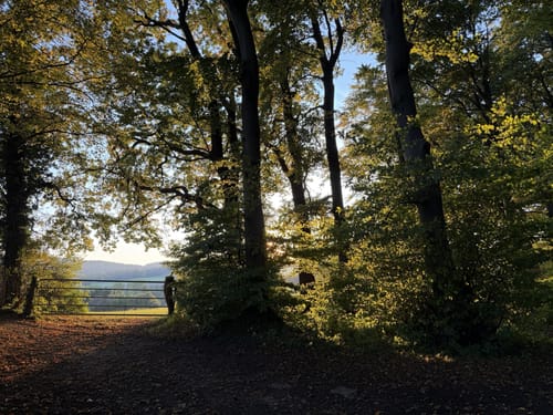 Heßkamp - Hiddentrup