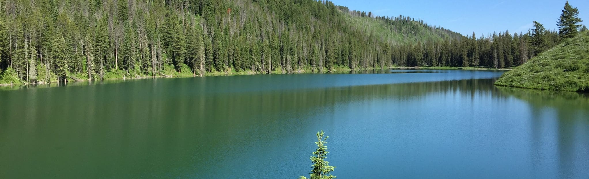 Bailey Lake Trail, Wyoming 35 Reviews, Map AllTrails