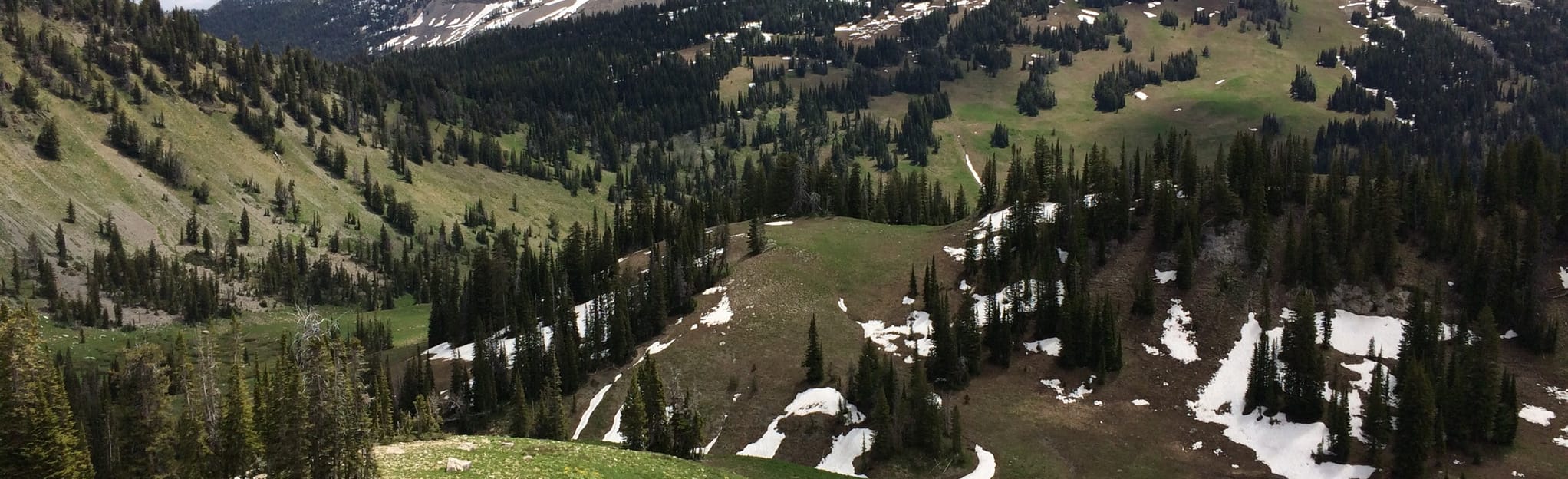 Moose Creek and Moose Lake, Idaho 48 Reviews, Map AllTrails