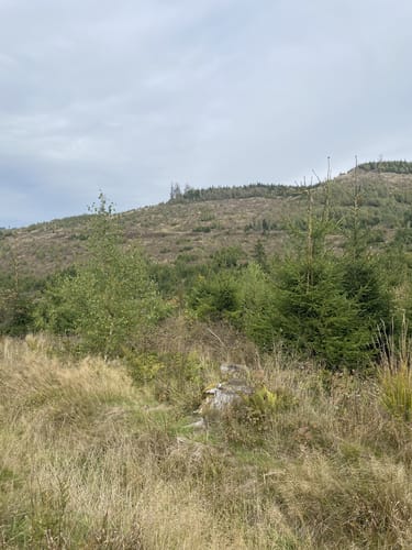 Rund um den Hoppecker Berg