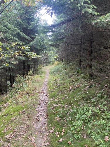 Rund um den Hoppecker Berg