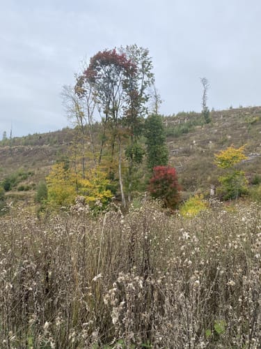 Rund um den Hoppecker Berg