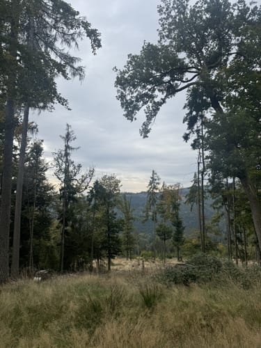 Limesweg, Großer Feldberg und Altkönig Rundweg