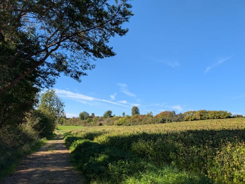 Rundweg Velden