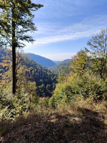 Großer Hohegeißer Rundweg