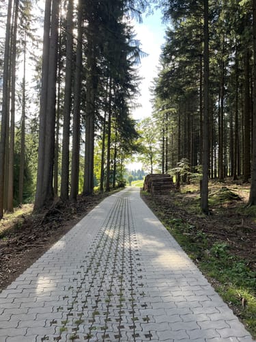 Bärenwalder Rundweg