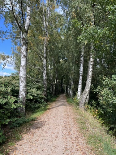 Bärenwalder Rundweg