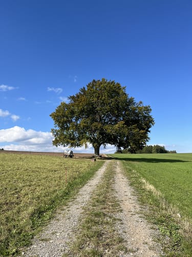 Bärenwalder Rundweg