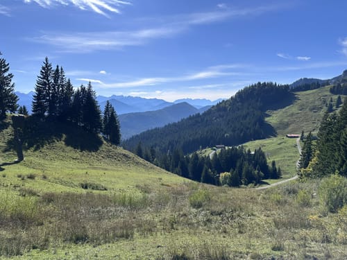 Lenggries - Brauneck; Almwanderung