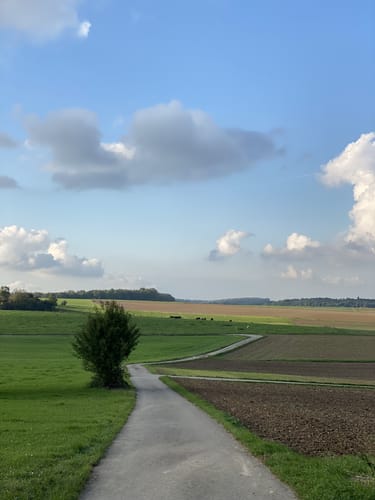 Venusberg (Land.Tour)