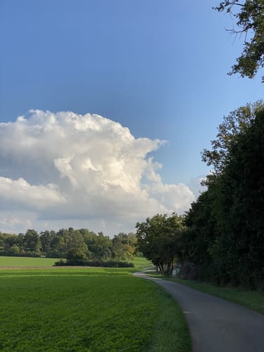 Venusberg (Land.Tour)