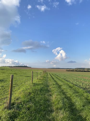 Venusberg (Land.Tour)