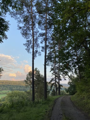 Venusberg (Land.Tour)