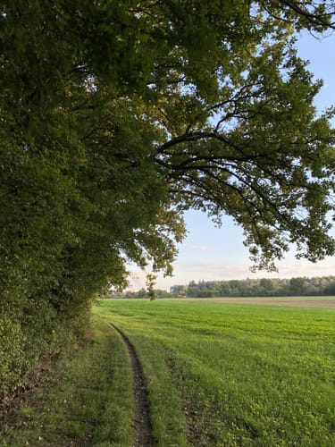 Venusberg (Land.Tour)